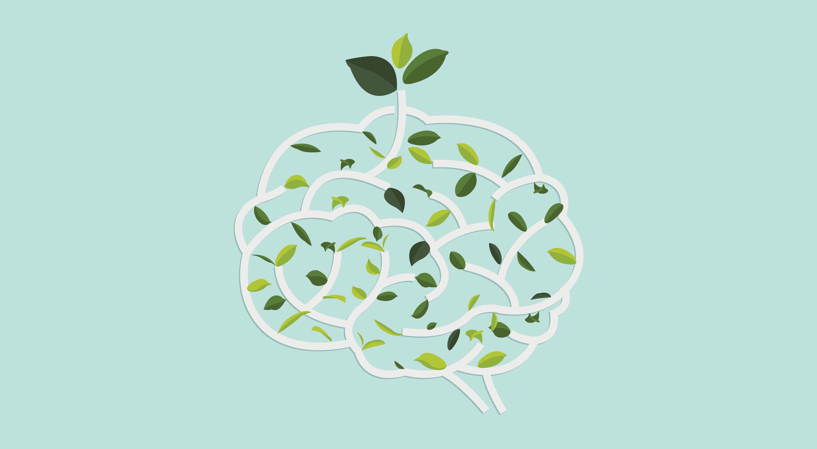 illustration d'un cerveau vue comme un arbre dont les feuilles forment une idée représentée par un bourgeon qui éclot au-dessus.